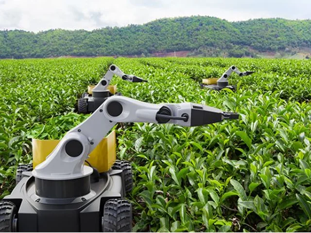بررسی توسعه فناوری های مبتنی بر هوش مصنوعی در صنعت کشاورزی