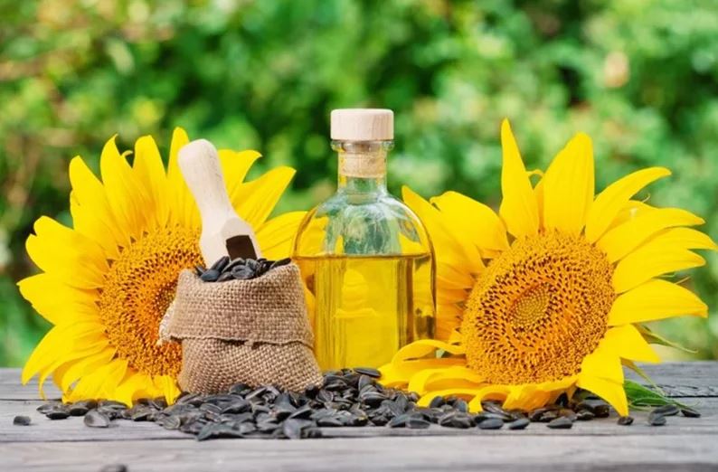 برگزاری نوبت دوم مناقصه خرید 15 هزار تن روغن خام آفتابگردان از رومانی و اوکراین