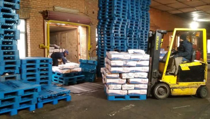 ادامه توزیع گوشت گوساله منجمد برزیل